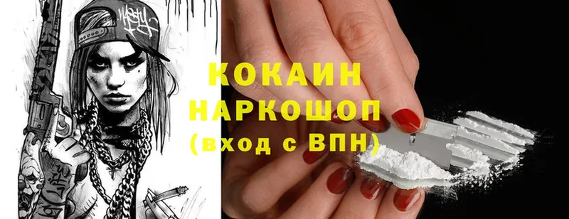 Cocaine Fish Scale  закладки  Котельниково 